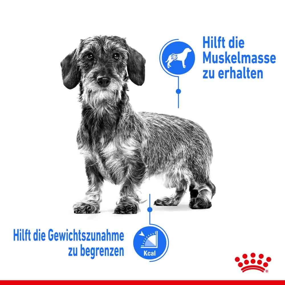 Royal Canin light weight care mini Trockenfutter für zu Übergewicht neigenden Hunden_3