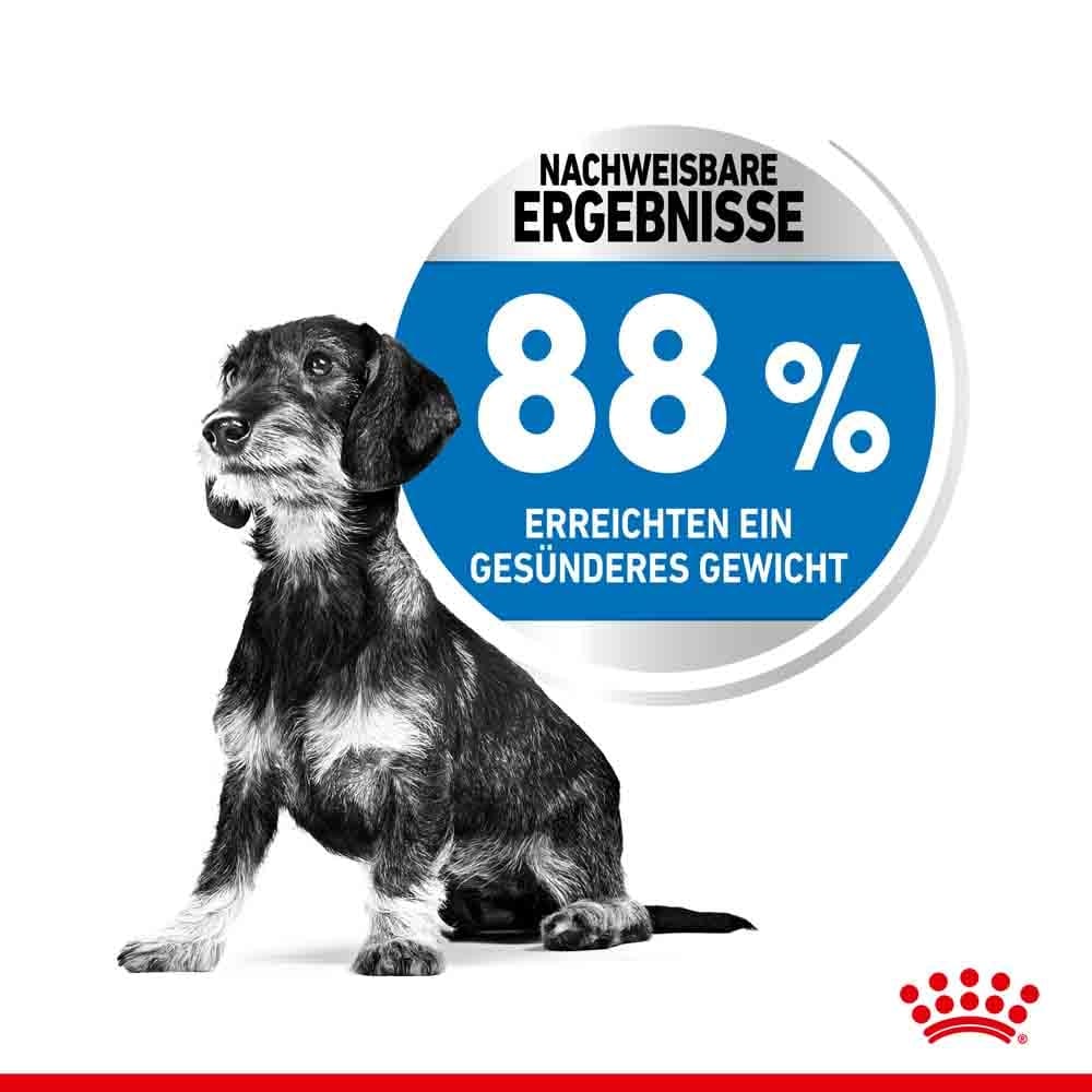 Royal Canin light weight care mini Trockenfutter für zu Übergewicht neigenden Hunden_4