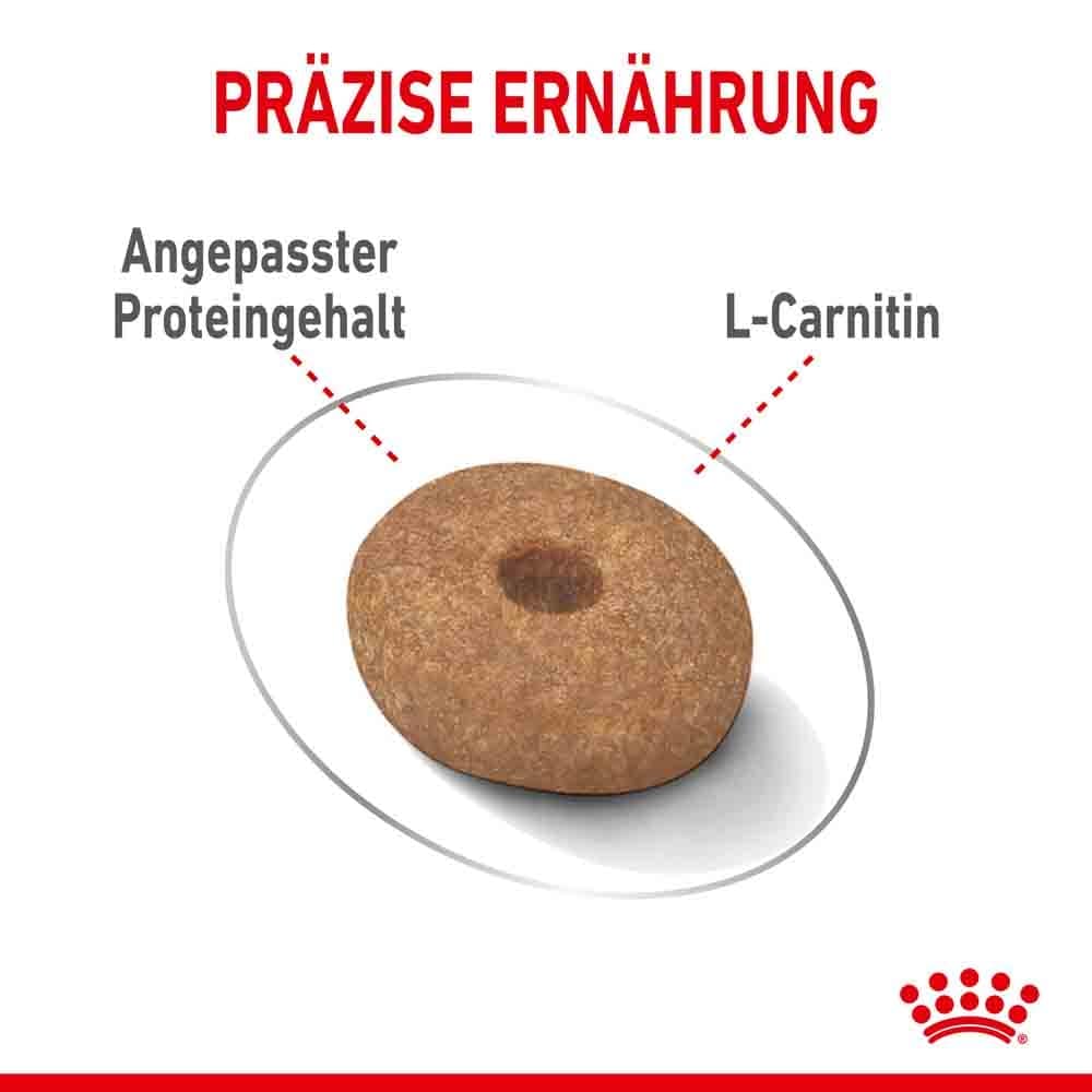 Royal Canin light weight care mini Trockenfutter für zu Übergewicht neigenden Hunden_5