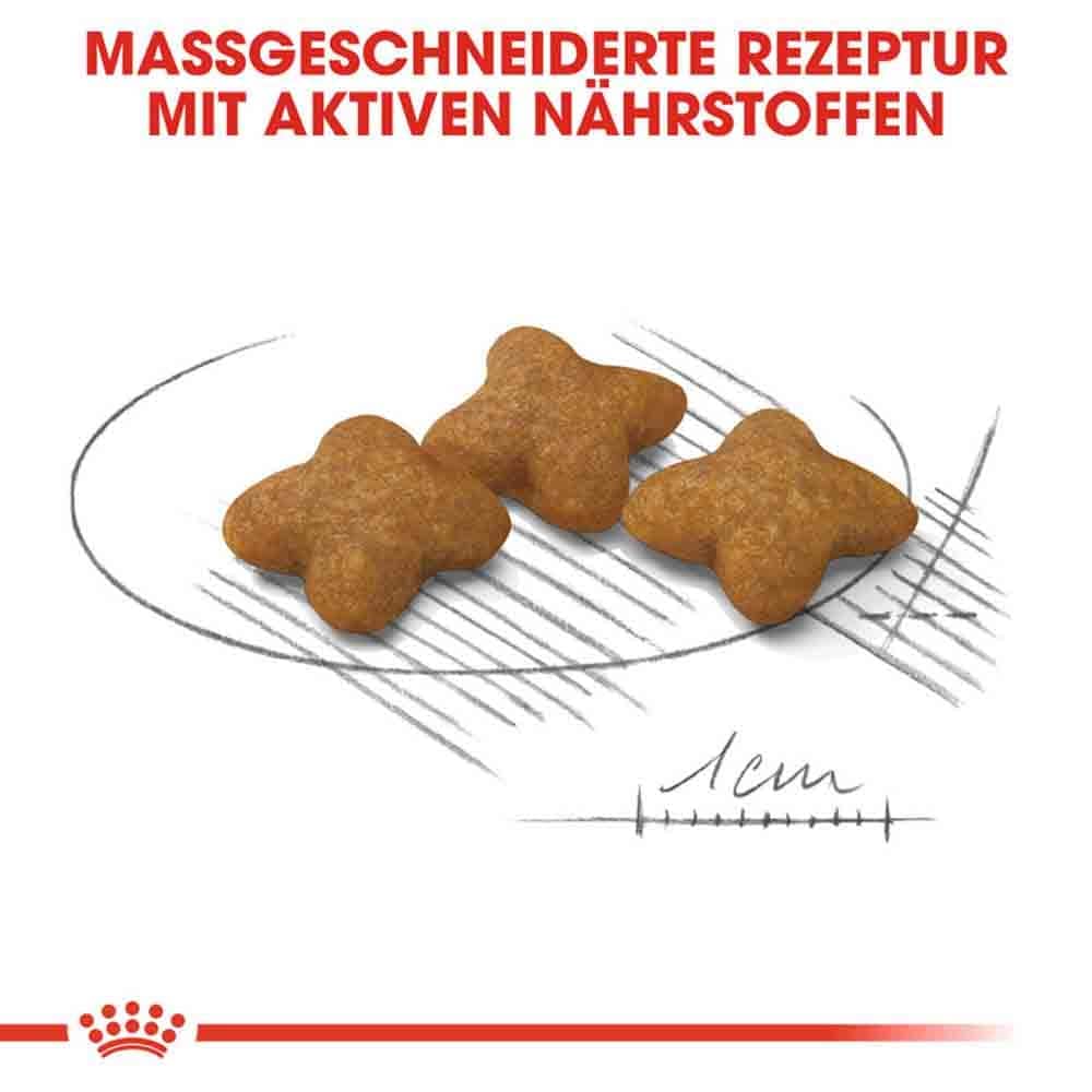 Royal Canin Sterilised X-SMALL Trockenfutter für kastrierte sehr kleine Hunde_5