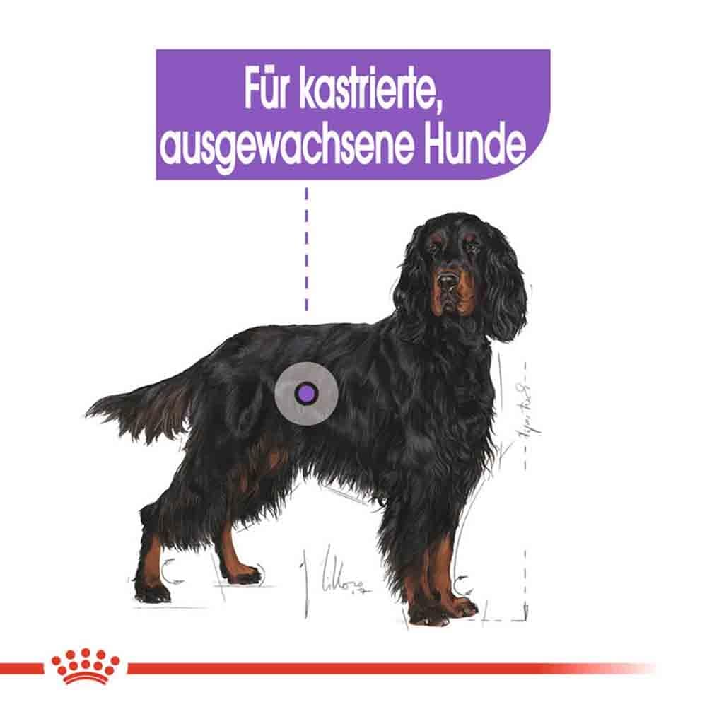 Royal Canin Sterilised Maxi Trockenfutter für kastrierte große Hunde_3