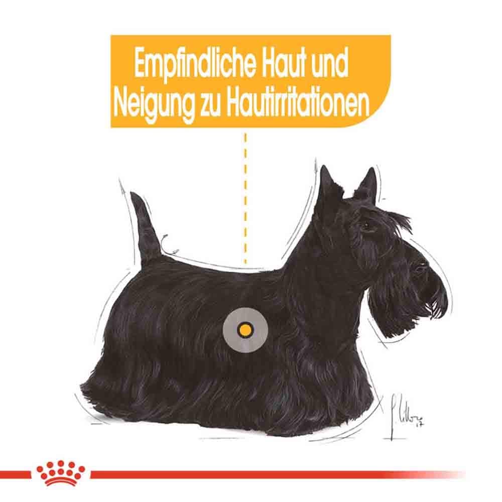 Royal Canin Dermacomfort Nassfutter für Hunde mit empfindlicher Haut_3