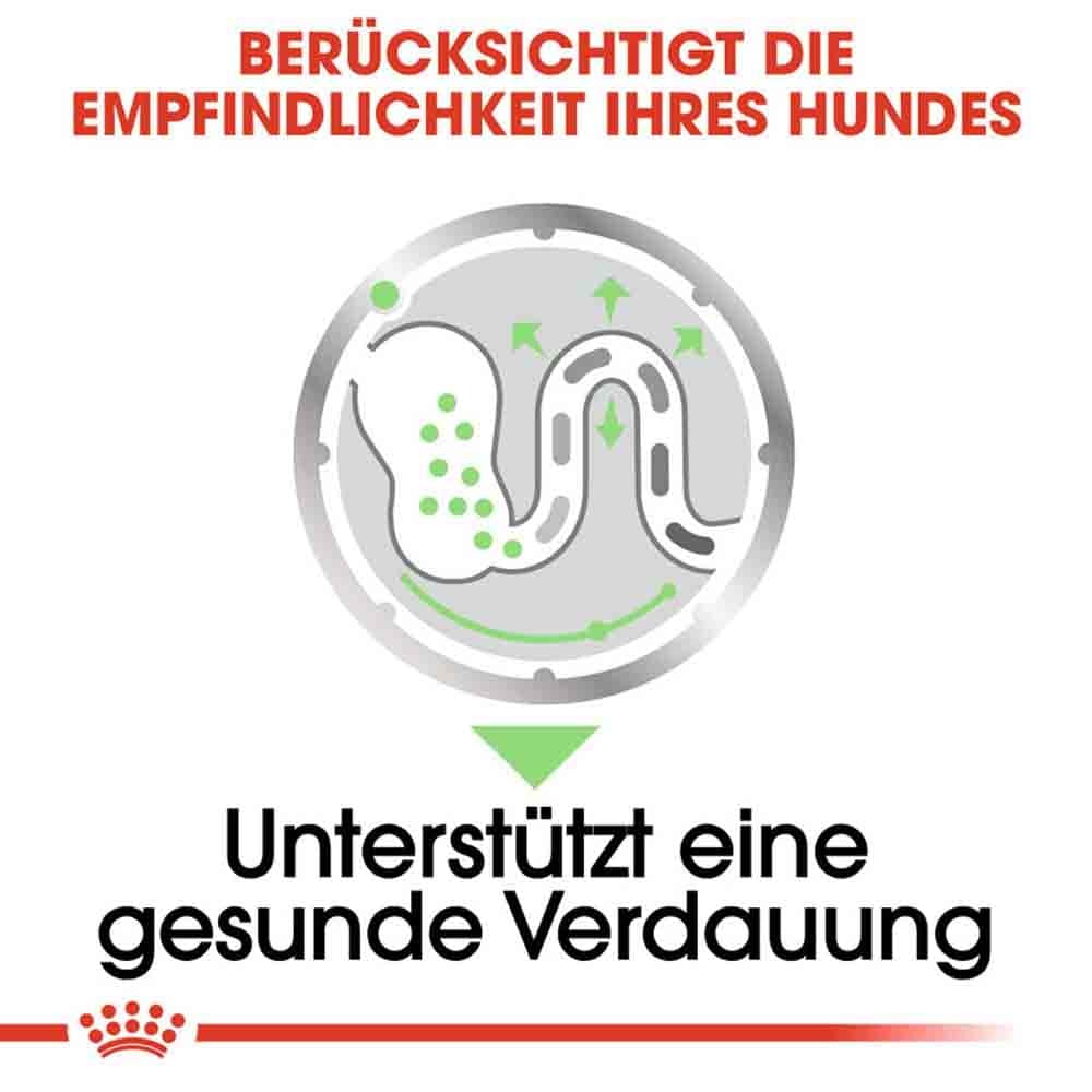 Royal Canin Digestive Care Nassfutter für Hunde mit empfindlicher Verdauung  _4