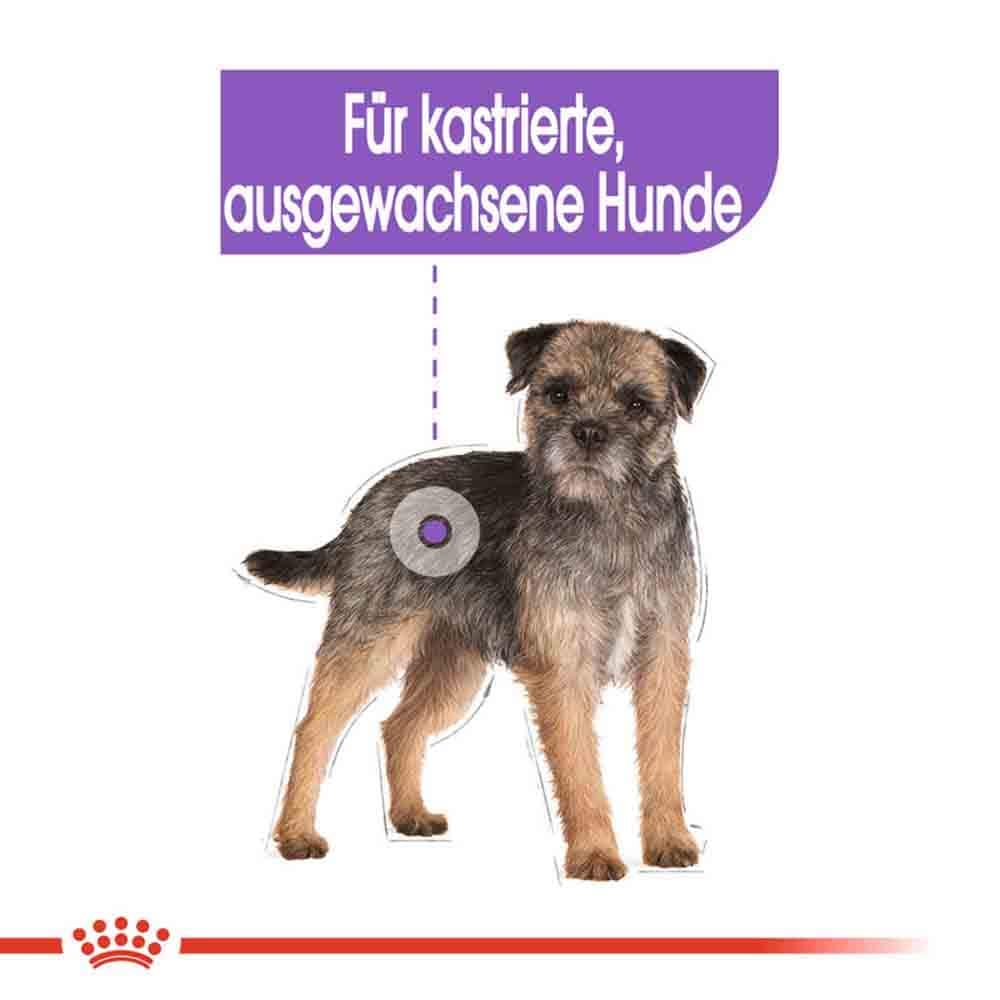 Royal Canin Sterilised Nassfutter für kastrierte Hunde_3