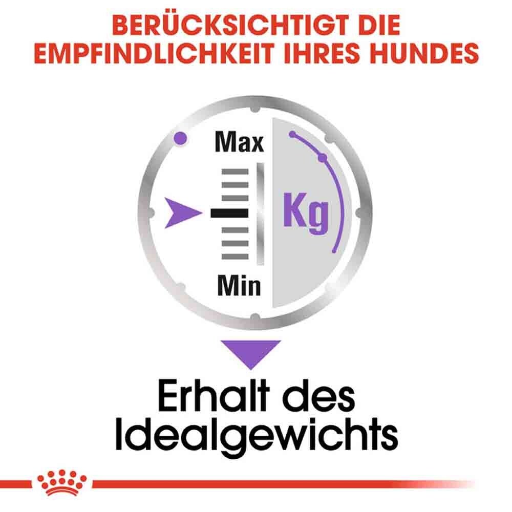 Royal Canin Sterilised Nassfutter für kastrierte Hunde_4