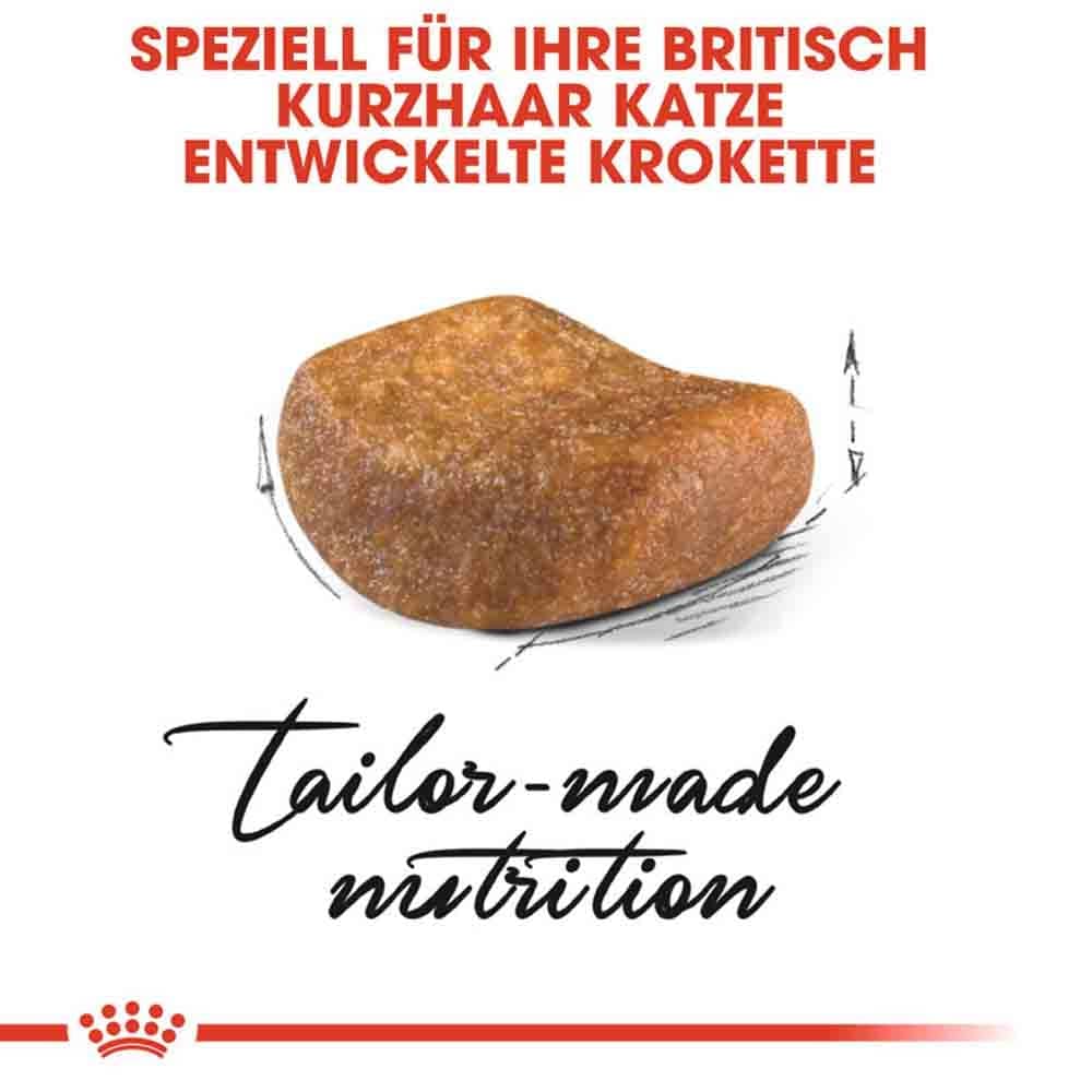 Royal Canin British Shorthair Katzenfutter trocken für Britisch Kurzhaar_5
