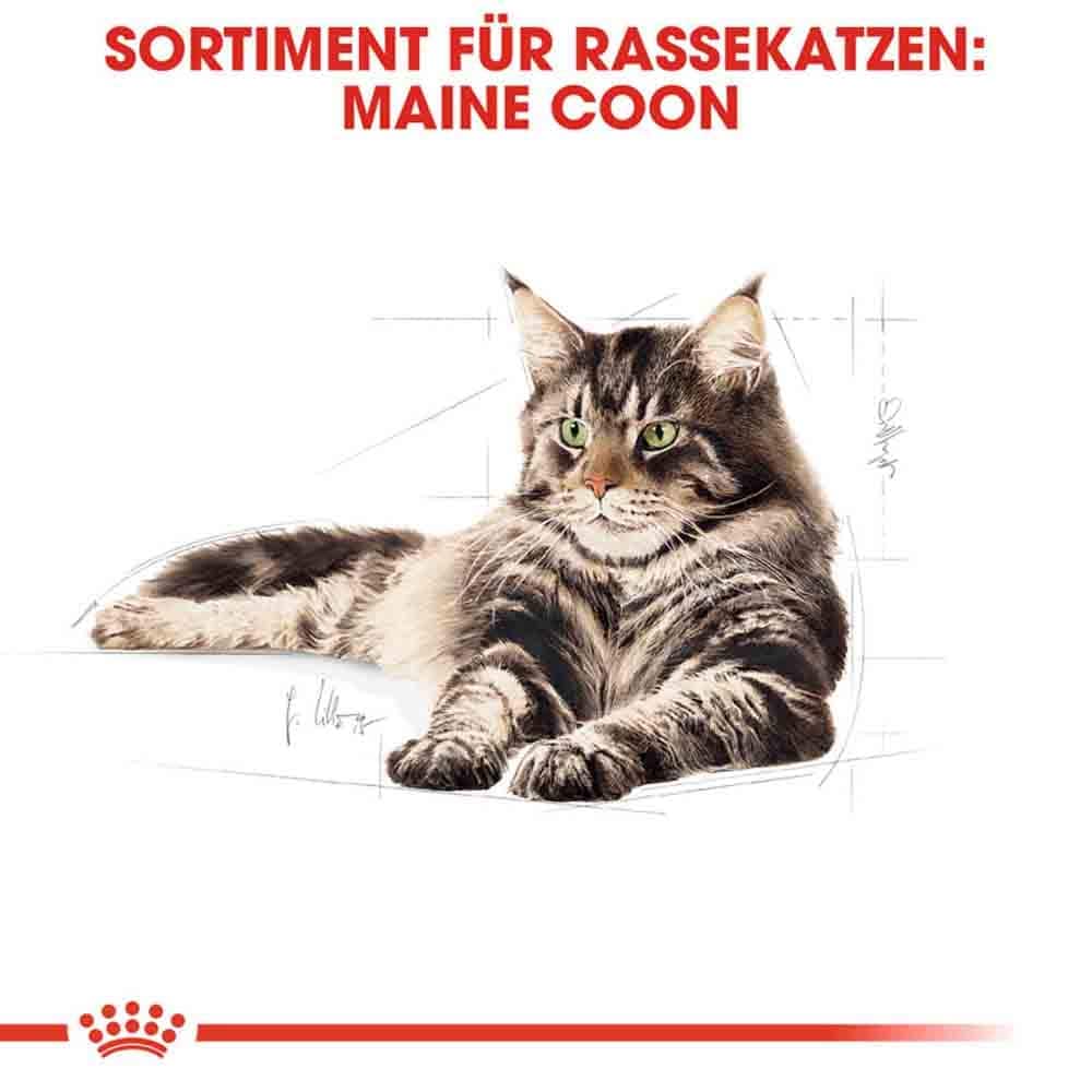 Royal Canin Maine Coon Adult Katzenfutter trocken _3