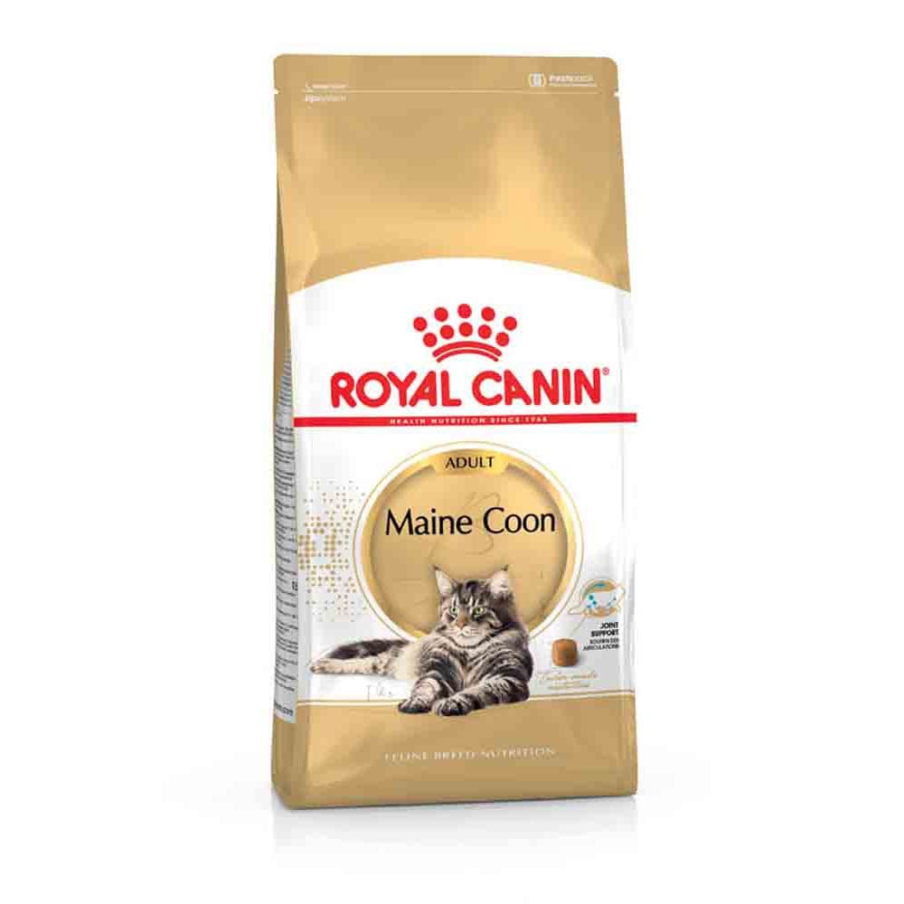 Royal Canin Maine Coon Adult Katzenfutter trocken _2