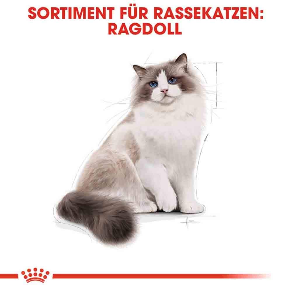 Royal Canin Ragdoll Adult Katzenfutter trocken_3