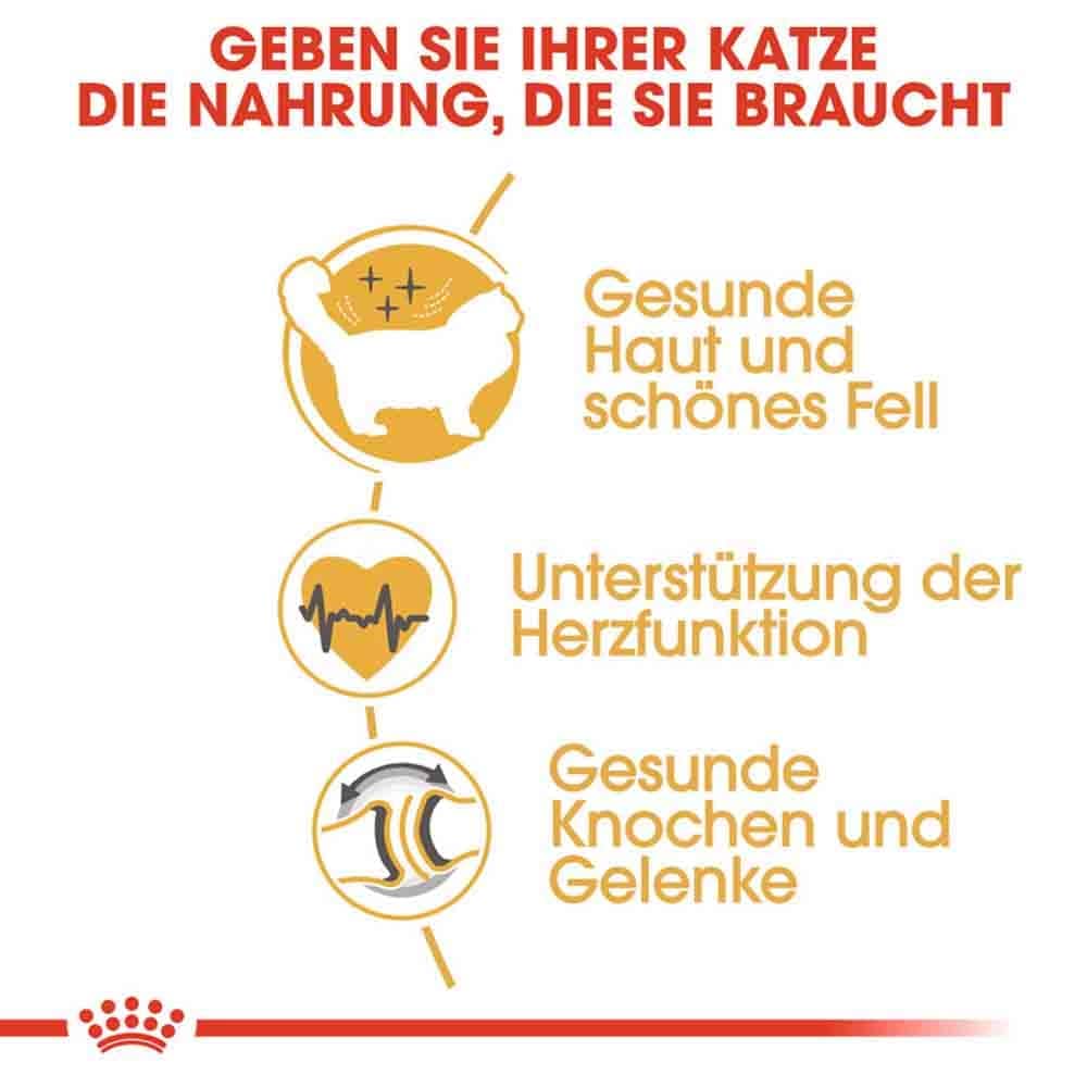 Royal Canin Ragdoll Adult Katzenfutter trocken_4