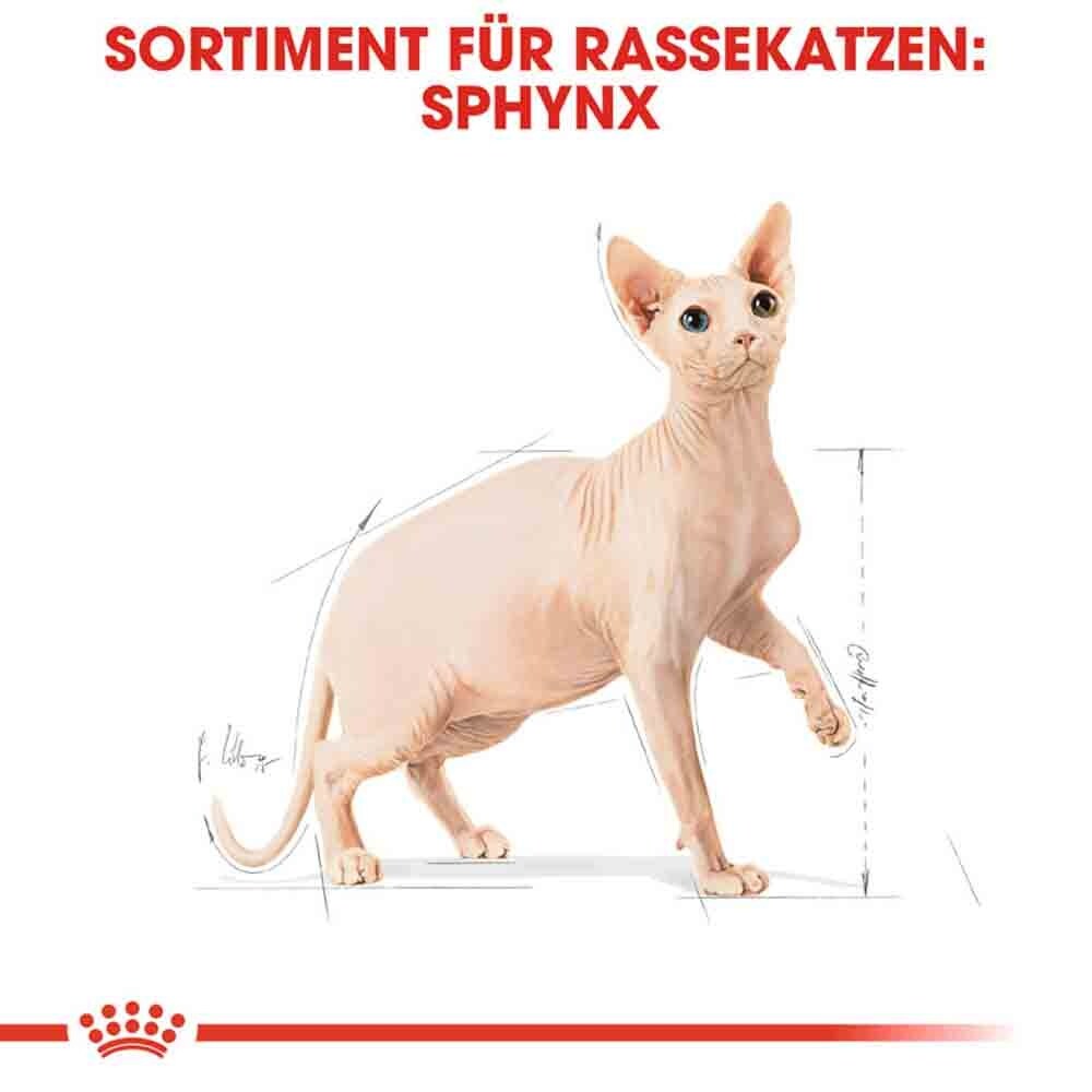 Royal Canin Sphynx Adult Katzenfutter trocken_3