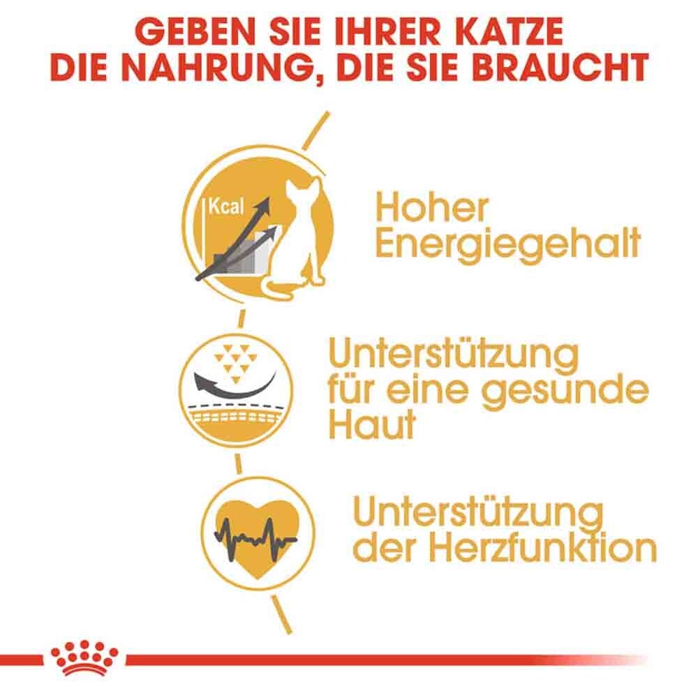 Royal Canin Sphynx Adult Katzenfutter trocken_4