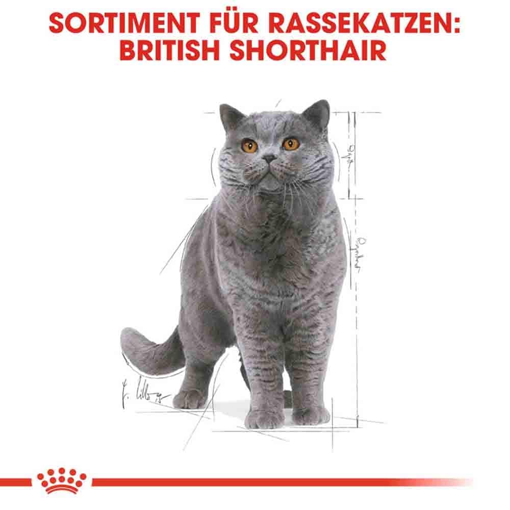 Royal Canin British Shorthair Adult Katzenfutter nass für Britisch Kurzhaar_5
