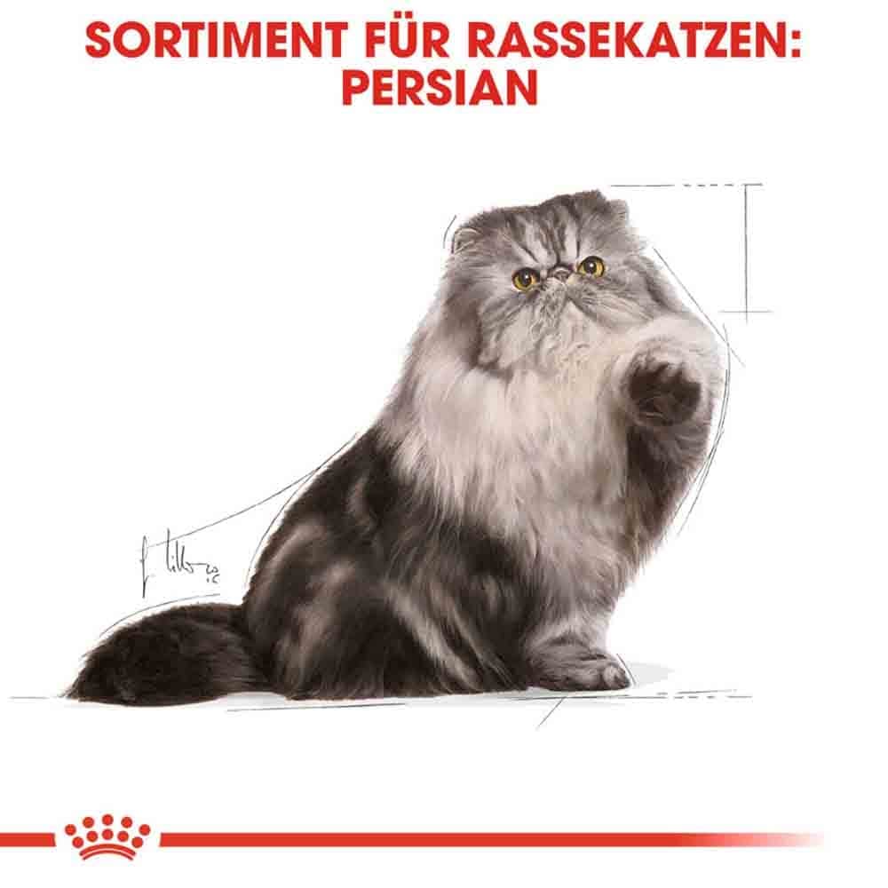 Royal Canin Persian Adult Katzenfutter nass für Perser-Katzen_3