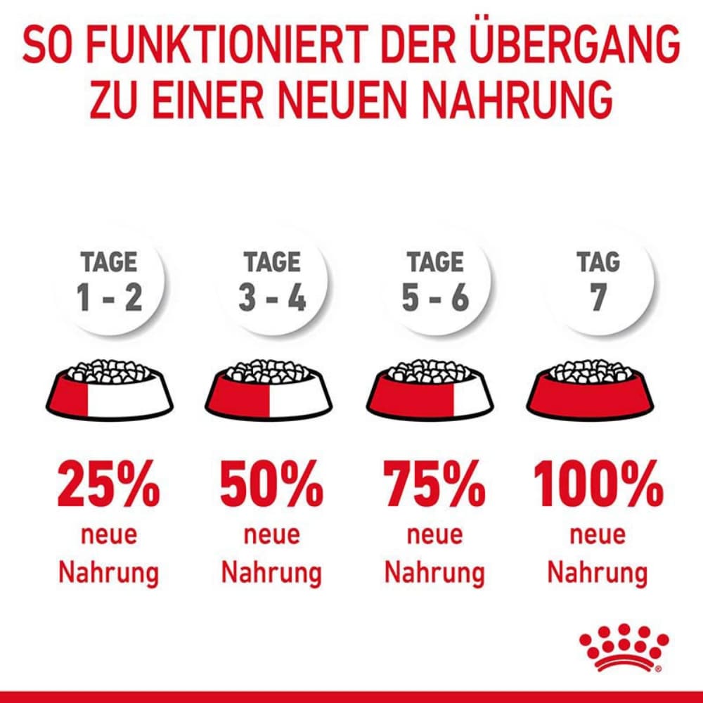 Royal Canin Hair & Skin Care  Katzennahrung trocken für gesundes Fell_7