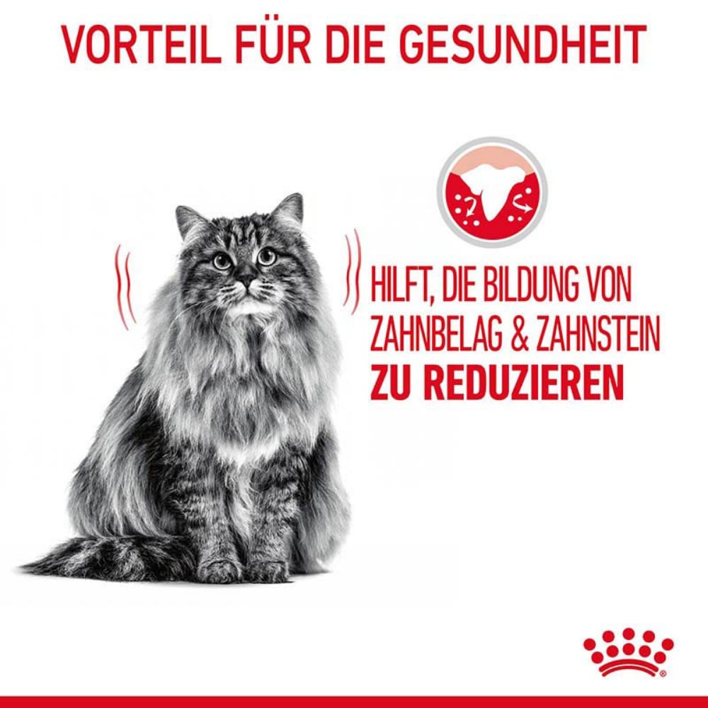 Royal Canin Dental Care Katzennahrung trocken für gesunde Zähne (ORAL CARE)_4
