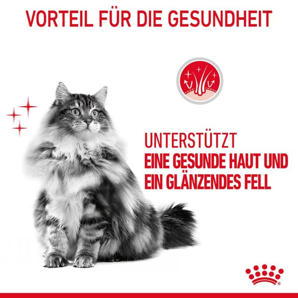 Royal Canin Hair & Skin Care Katzennahrung Feucht für gesundes Fell (Intense Beauty)_4