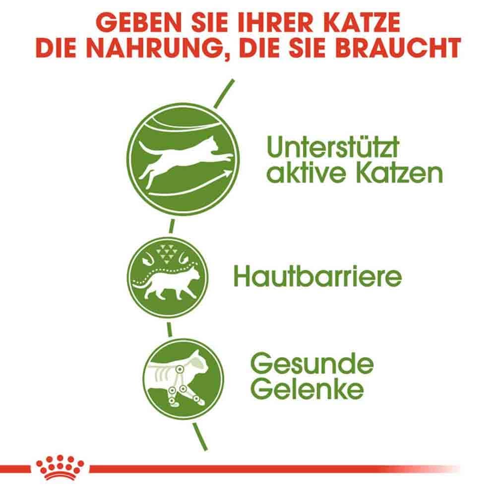 Royal Canin Outdoor Katzenfutter trocken für Freigänger_4