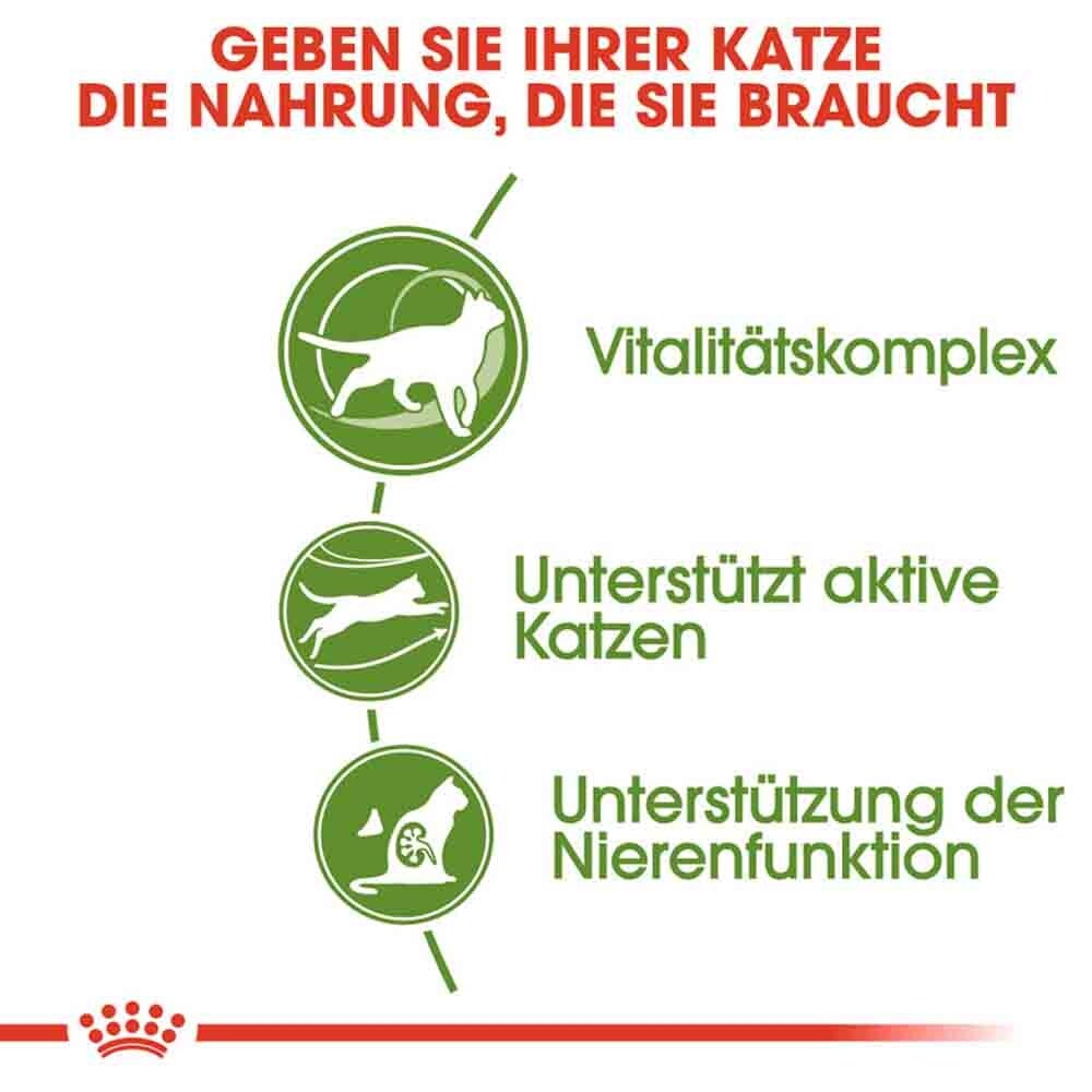 Royal Canin Outdoor 7+ Katzenfutter trocken für ältere Freigänger_4