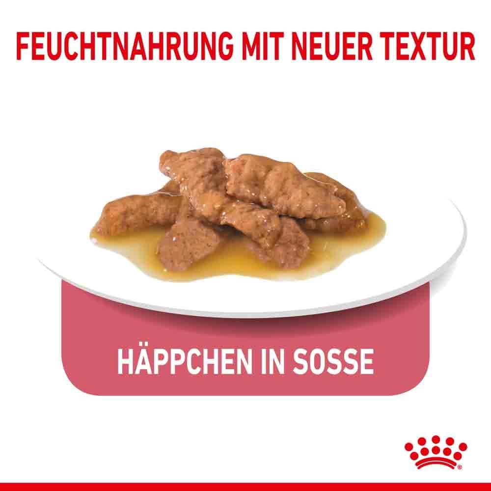 Royal Canin Indoor Sterilised in Soße Nassfutter für Wohnungskatzen_5