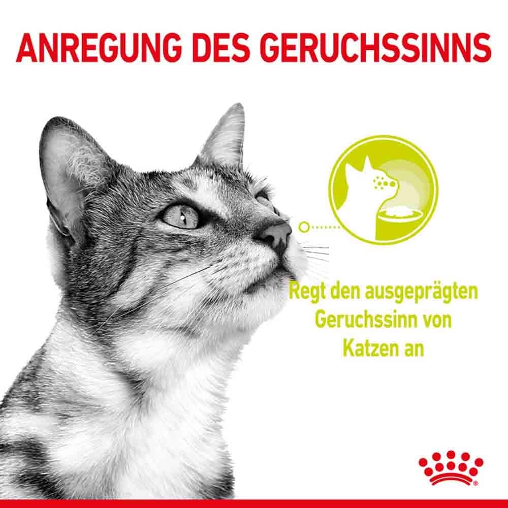 Royal Canin Sensory Smell Nassfutter in Soße für wählerische Katzen_3