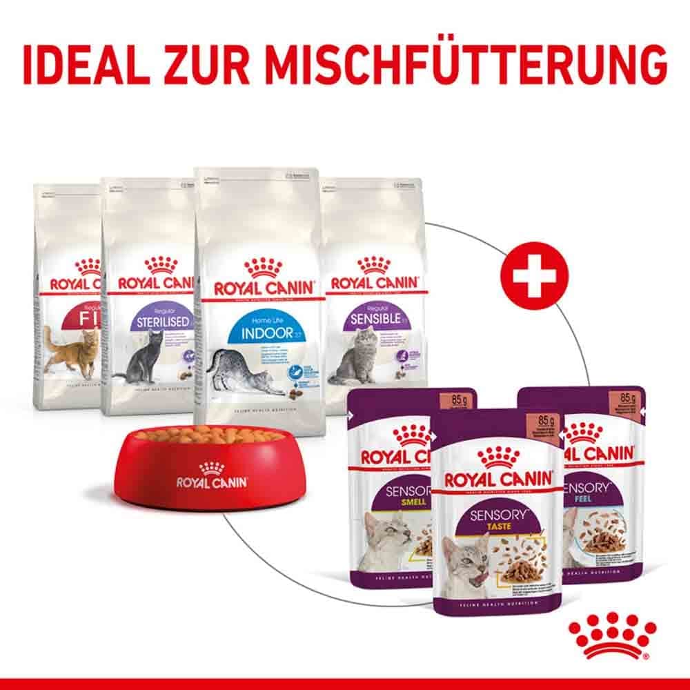 Royal Canin Sensory Smell Nassfutter in Soße für wählerische Katzen_6