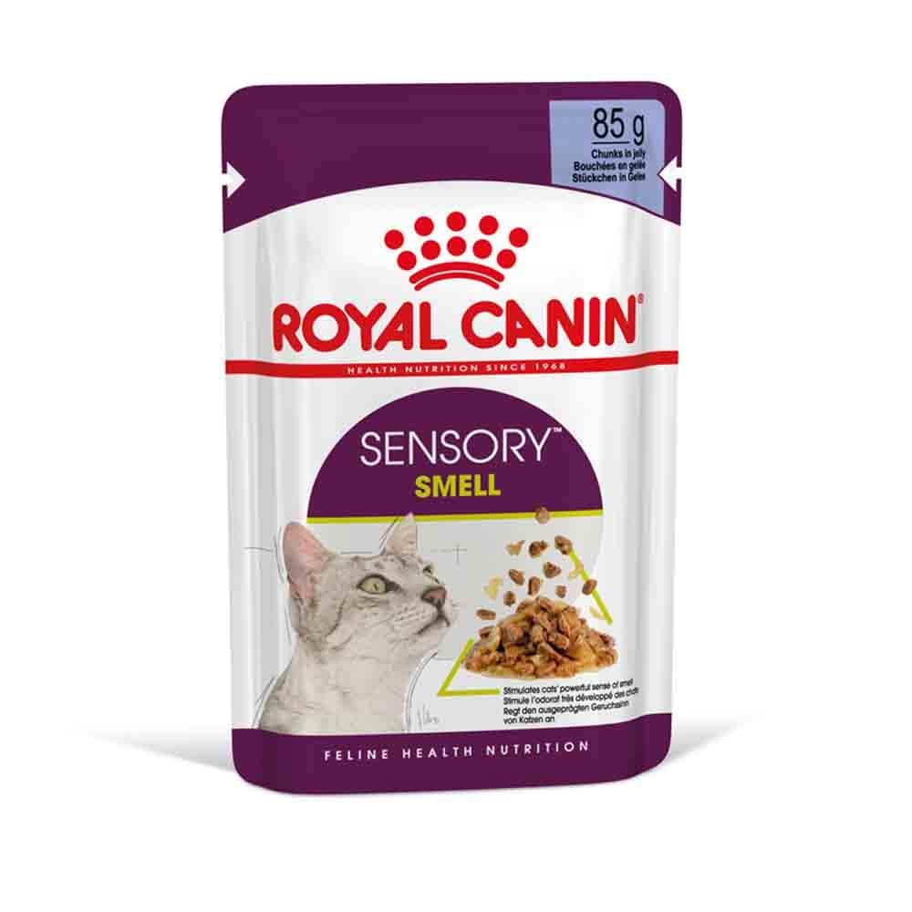 Royal Canin Sensory Smell Smell Nassfutter in Gelee für wählerische Katzen_2