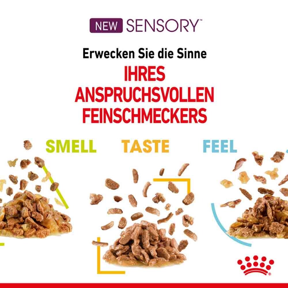 Royal Canin Sensory Feel Nassfutter in Gelee für wählerische Katzen_4