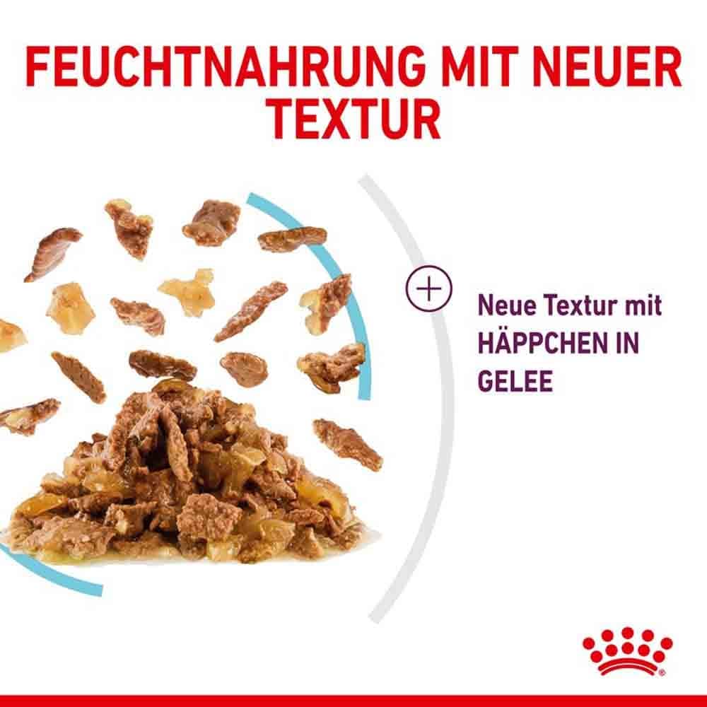 Royal Canin Sensory Feel Nassfutter in Gelee für wählerische Katzen_5