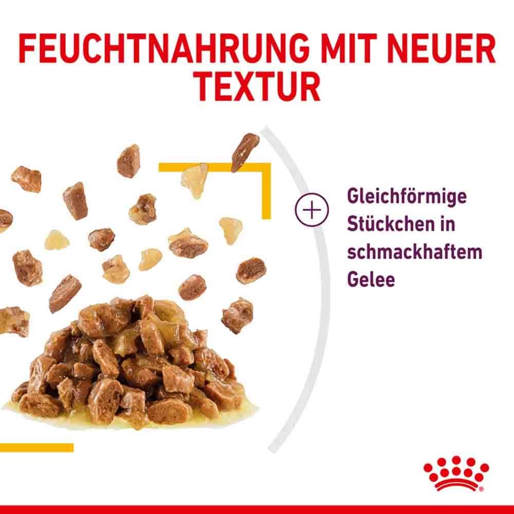 Royal Canin Sensory Taste Nassfutter in Gelee für wählerische Katzen_5