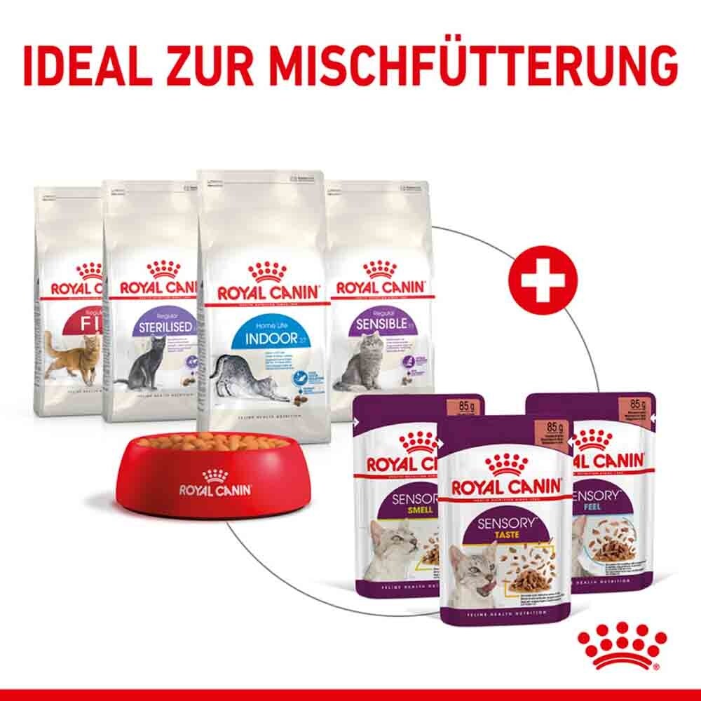 Royal Canin Sensory Taste Nassfutter in Gelee für wählerische Katzen_6