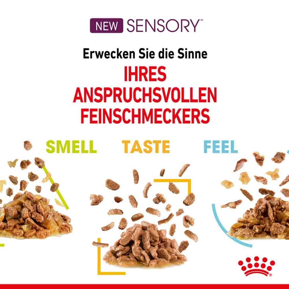 Royal Canin Sensory Smell Taste Feel Nassfutter Multipack in Soße für wählerische Katzen_8