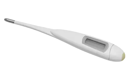 Bild für Kategorie Thermometer