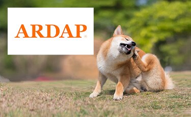 Ardap
