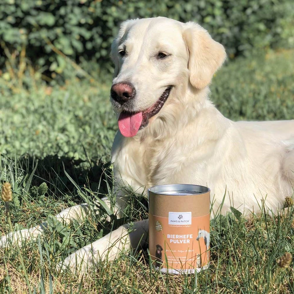 PAWS & PATCH Bierhefe Pulver für Hunde, Katzen und Pferde_2