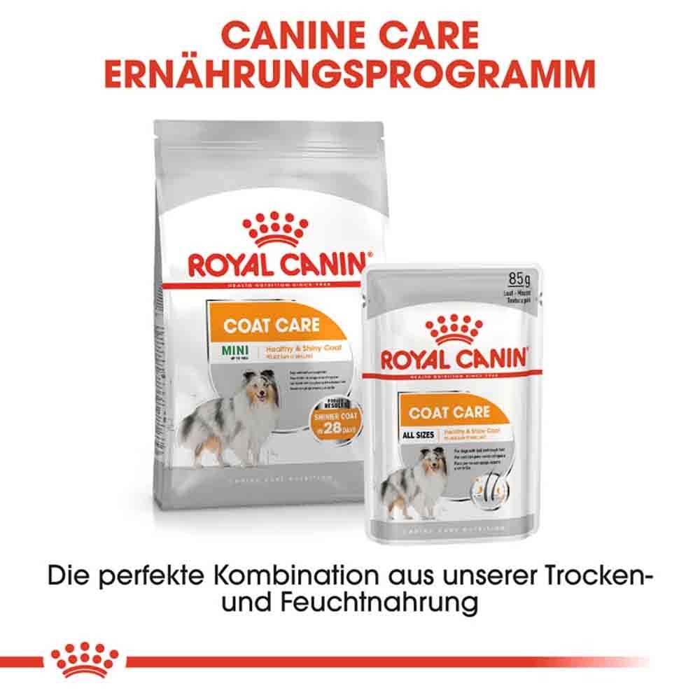 Royal Canin Coat Care Mini Trockenfutter für kleine Hunde für glänzendes Fell_7