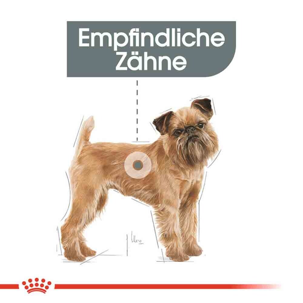 Royal Canin Dental Care Mini Trockenfutter für kleine Hunde mit empfindlichen Zähnen_3