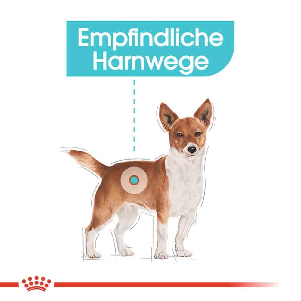 Royal Canin Urinary Care Mini Trockenfutter für kleine Hunde mit empfindlichen Harnwegen_3