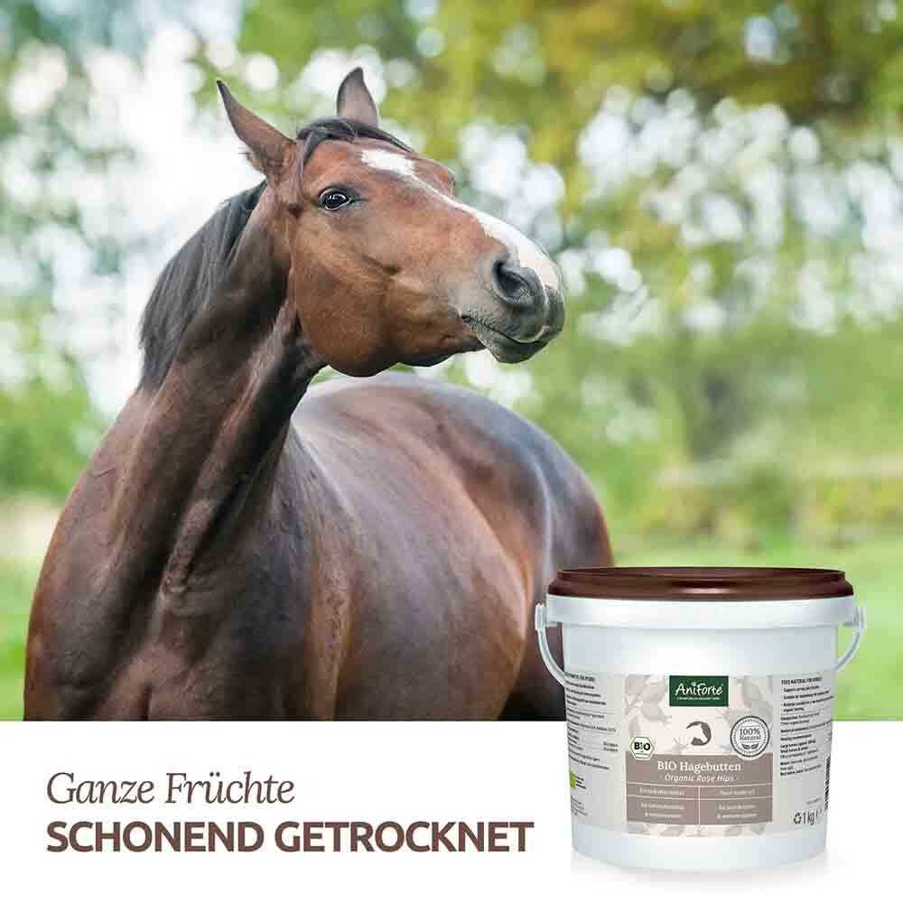 AniForte Bio Hagebutten - Ganze Früchte _3