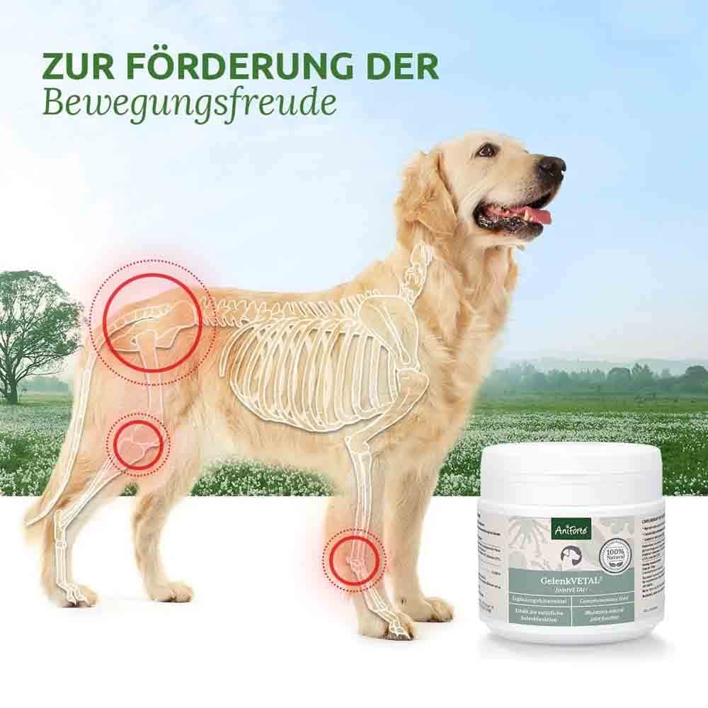 AniForte GelenkVETAL 3 _3