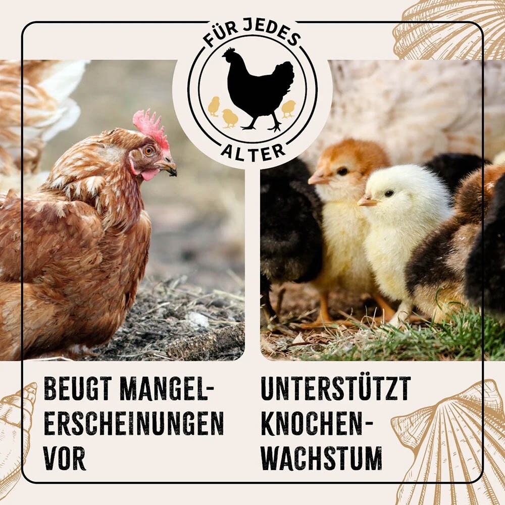 AniForte Muschelgrit _3