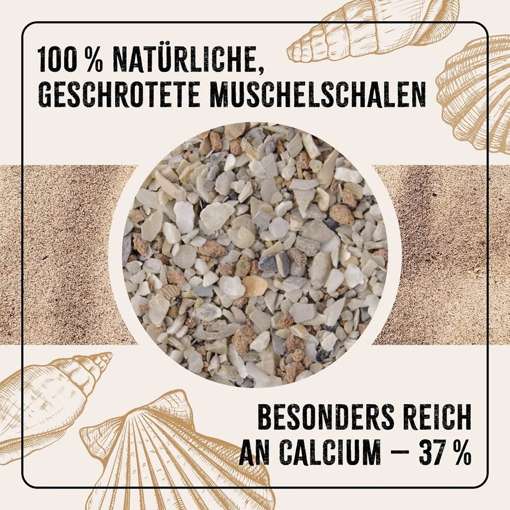 AniForte Muschelgrit _2