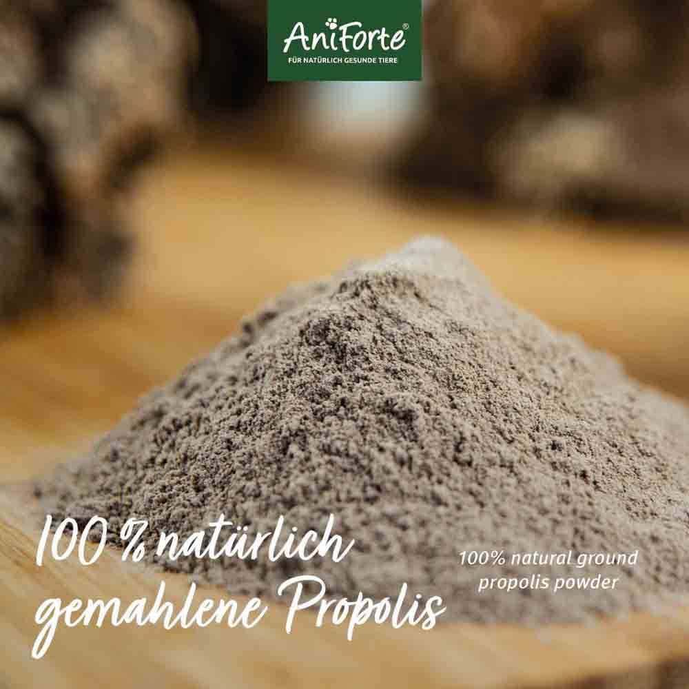 AniForte Propolis Pulver_2