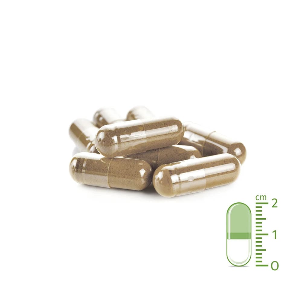 AniForte WermiX Kapseln für Hunde_2