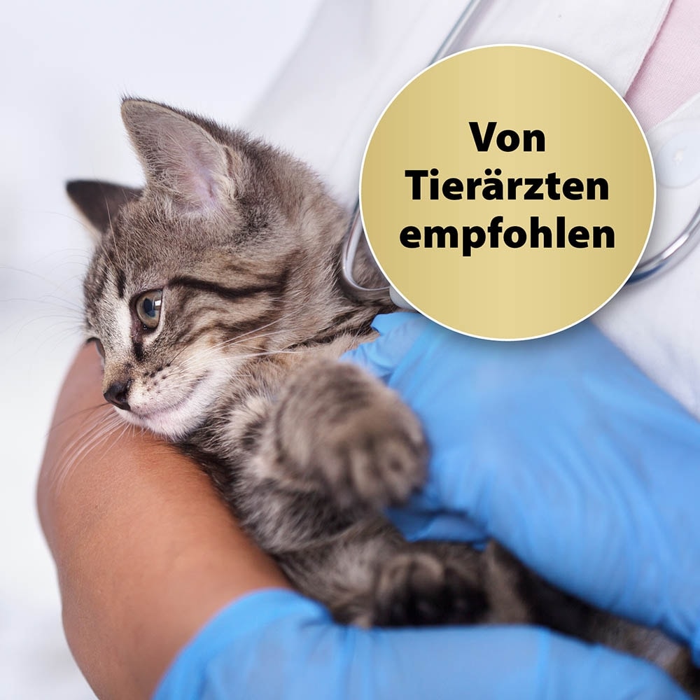 Felisept Home Comfort Beruhigungshalsband für Katzen_3