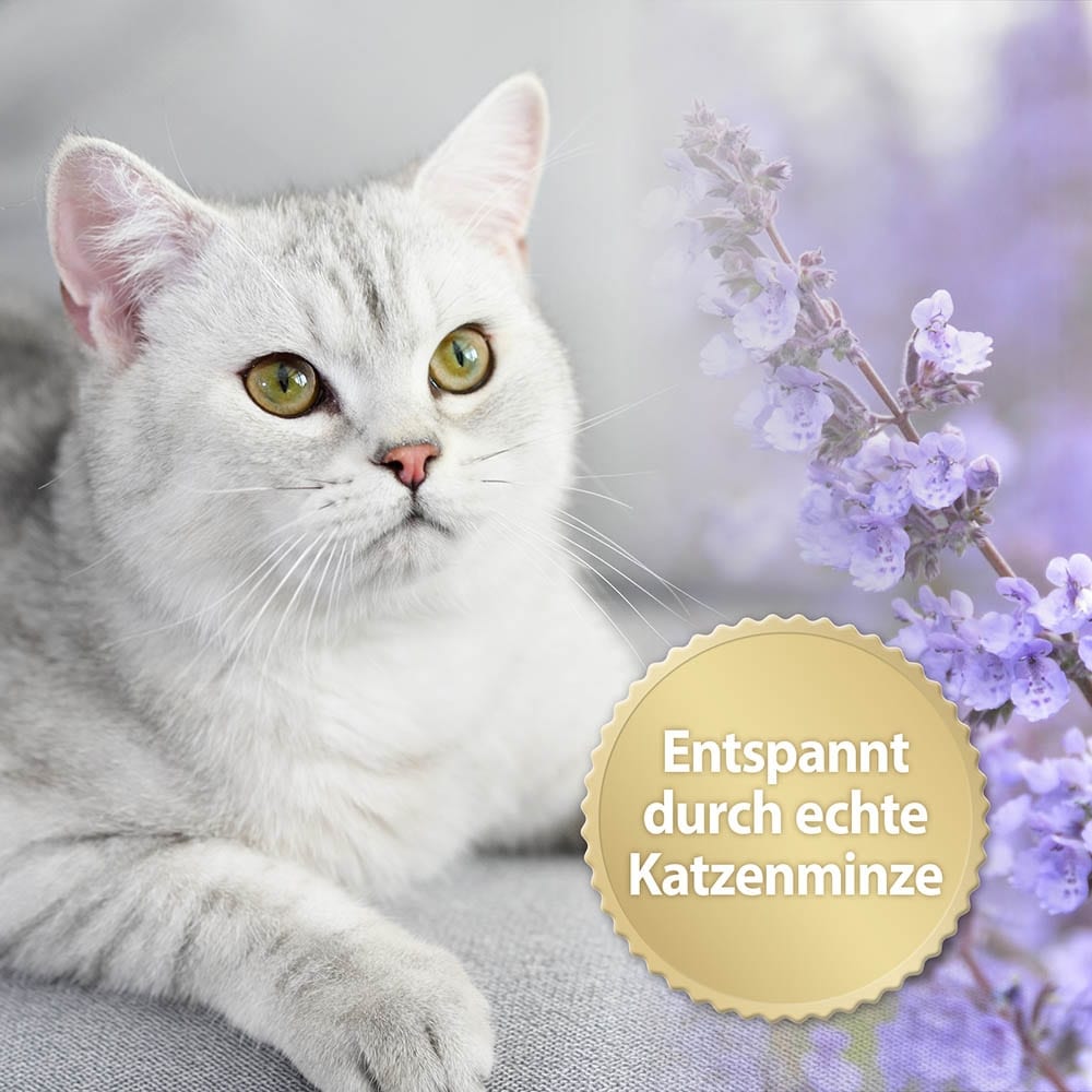 Felisept Home Comfort Spray für Katzen_2