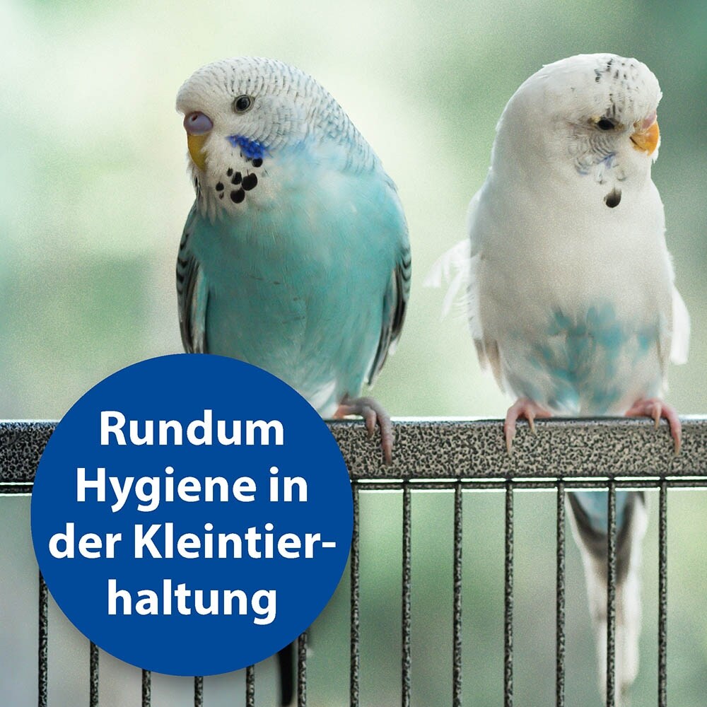 Bactazol Geruchsentferner_2