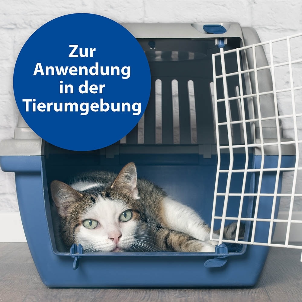 Bactazol Geruchsentferner_3