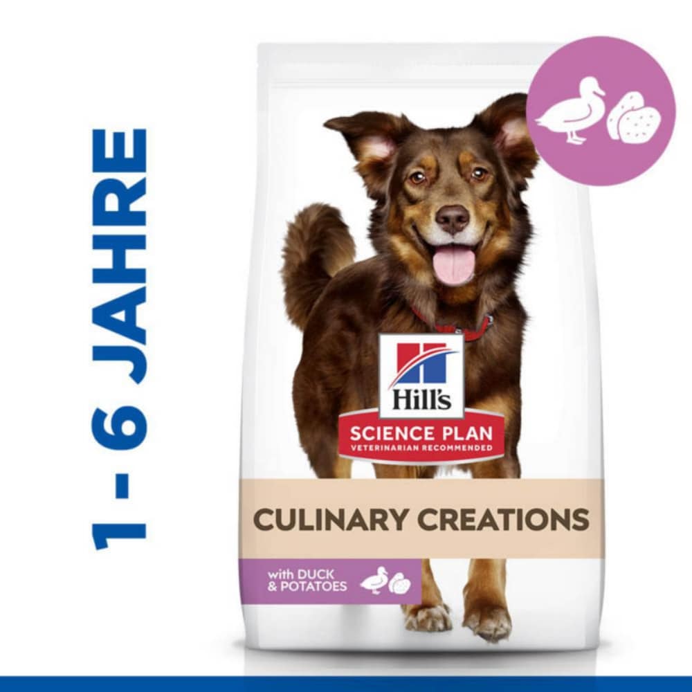 Hills Science Plan Culinary Creations Medium Adult Hundefutter_2