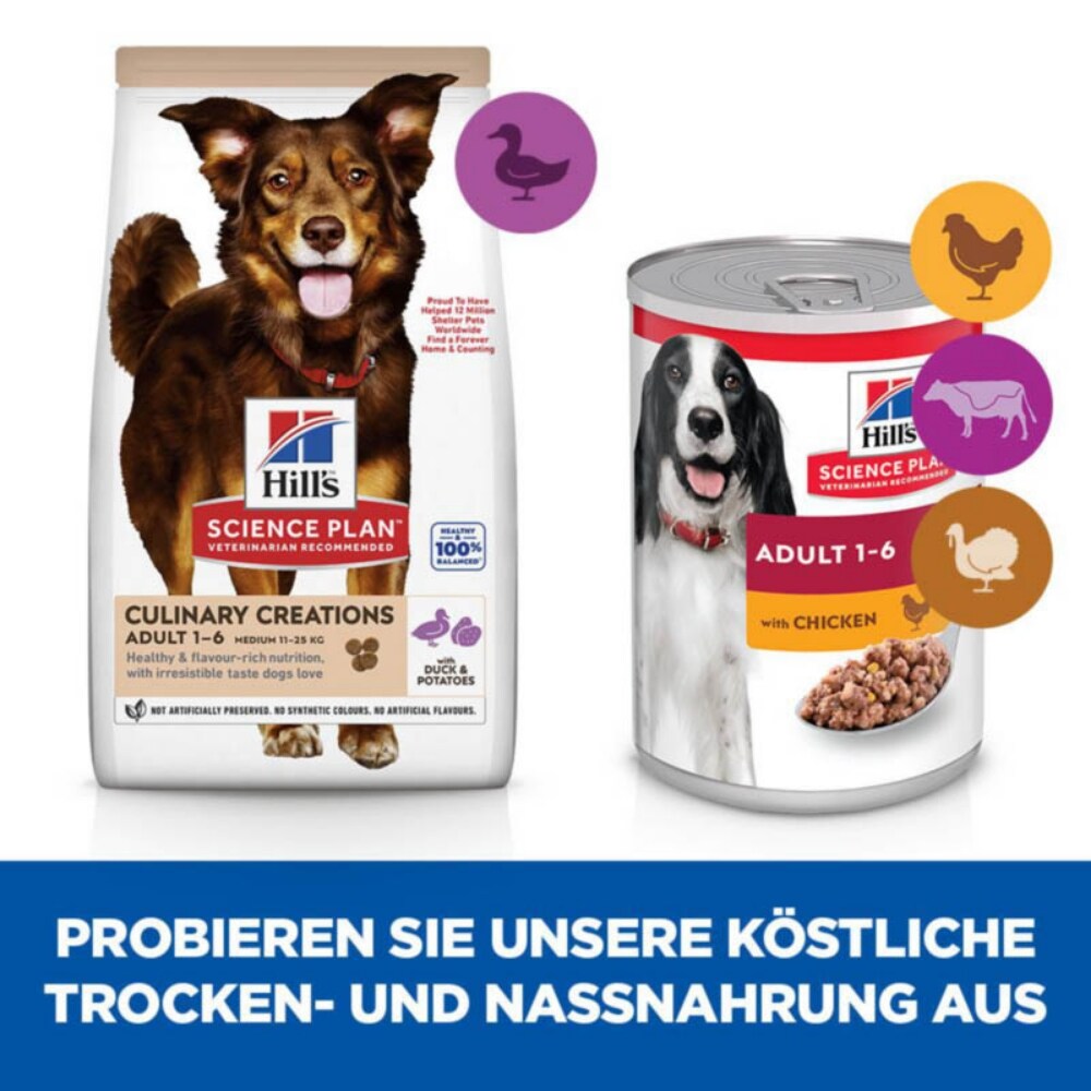 Hills Science Plan Culinary Creations Medium Adult Hundefutter_5